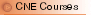 CNE Courses